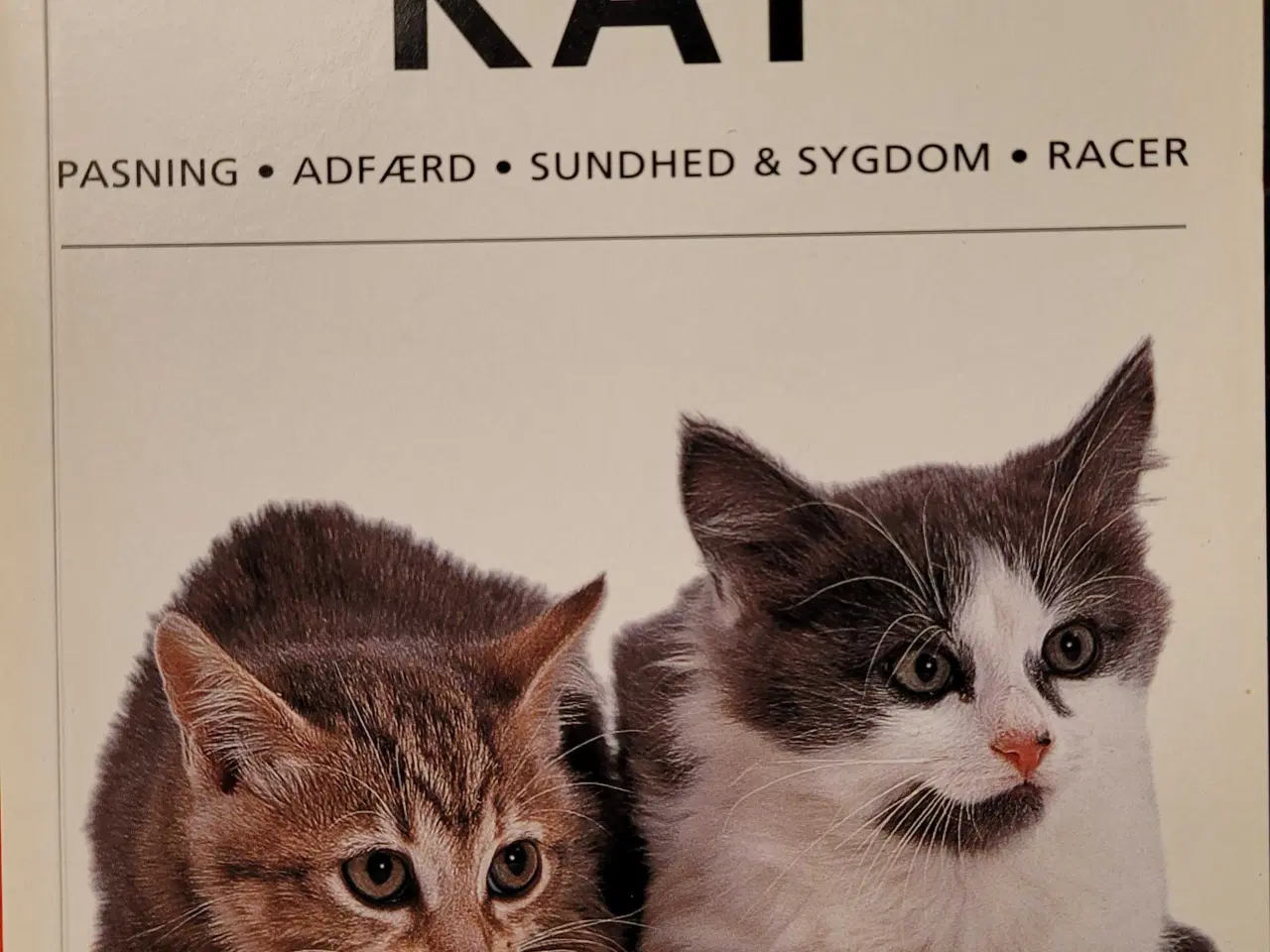 Billede 3 - Katte bøger 4stk 