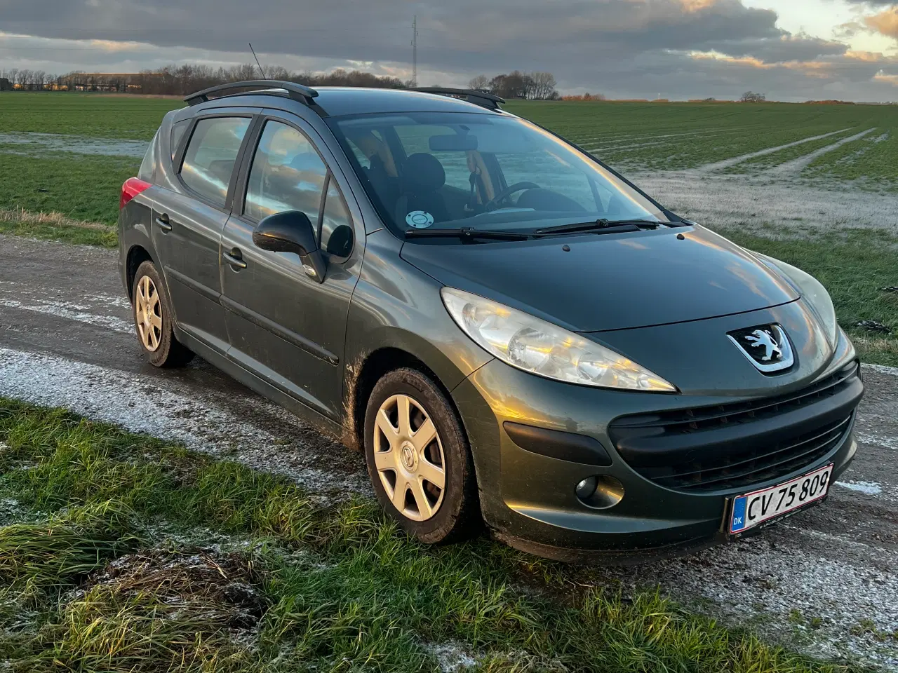 Billede 6 - Peugeot 207  1,6 HDI 16v SW 