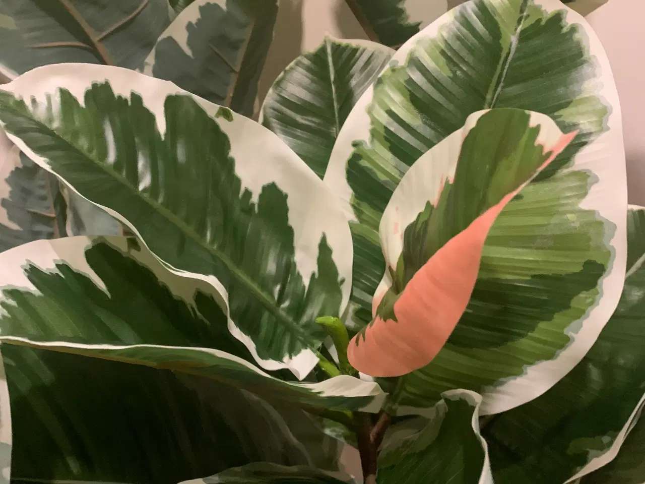 Billede 2 - Kunstig plante fra IKEA