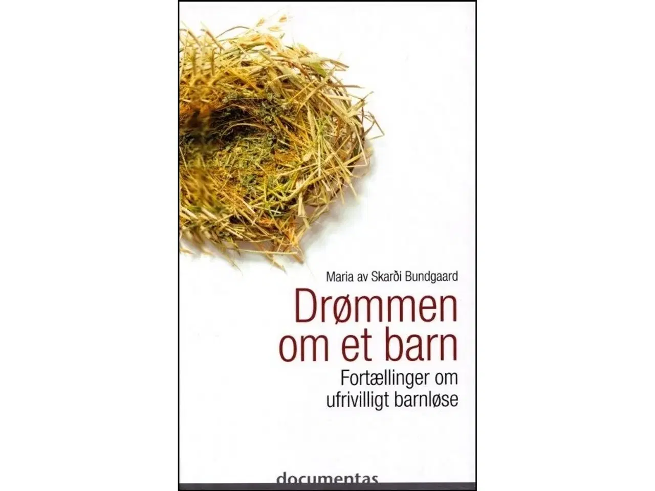 Billede 1 - Drømmen om et Barn