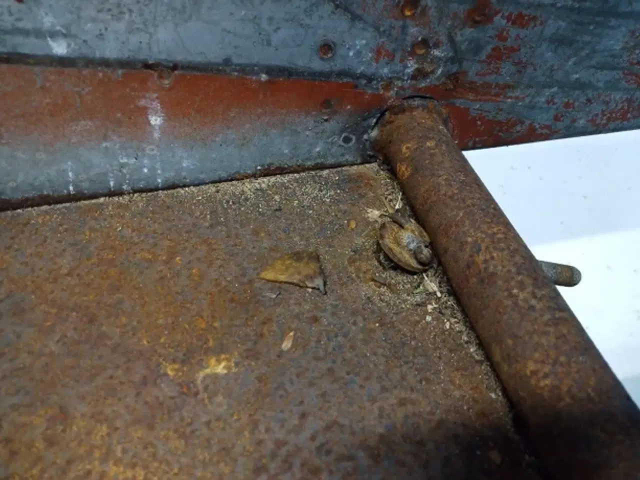 Billede 4 - Laverda 3650 Soldkasse 321155550