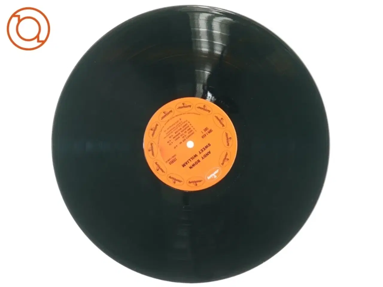 Billede 2 - Andy Bown, sweet william fra Mercury (str. 30 cm)