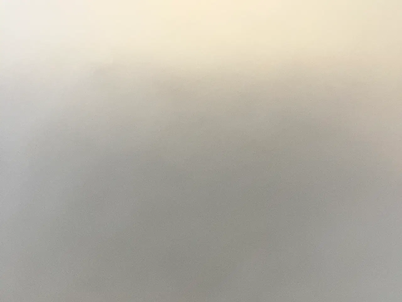 Billede 1 - Naturpleje udføres med Galloway