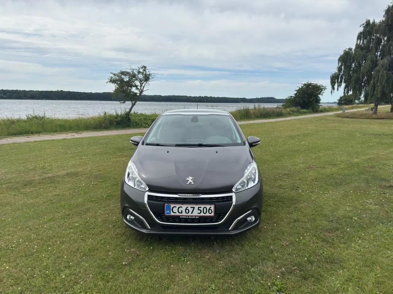 Billede 2 - Peugeot 208 1,5 BlueHDi 100 Like Sky