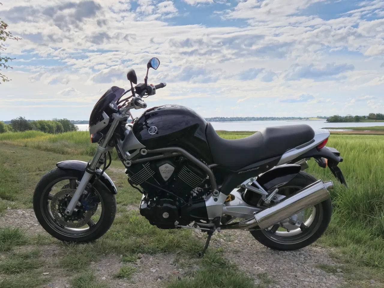 Billede 2 - Yamaha Bt 1100 Bulldog