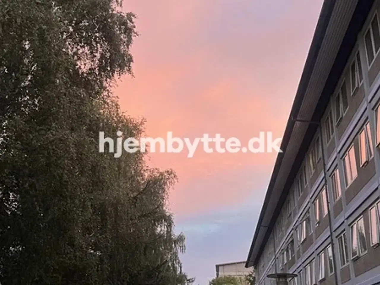 Billede 1 - Hjembytte - ValhøjsAlle