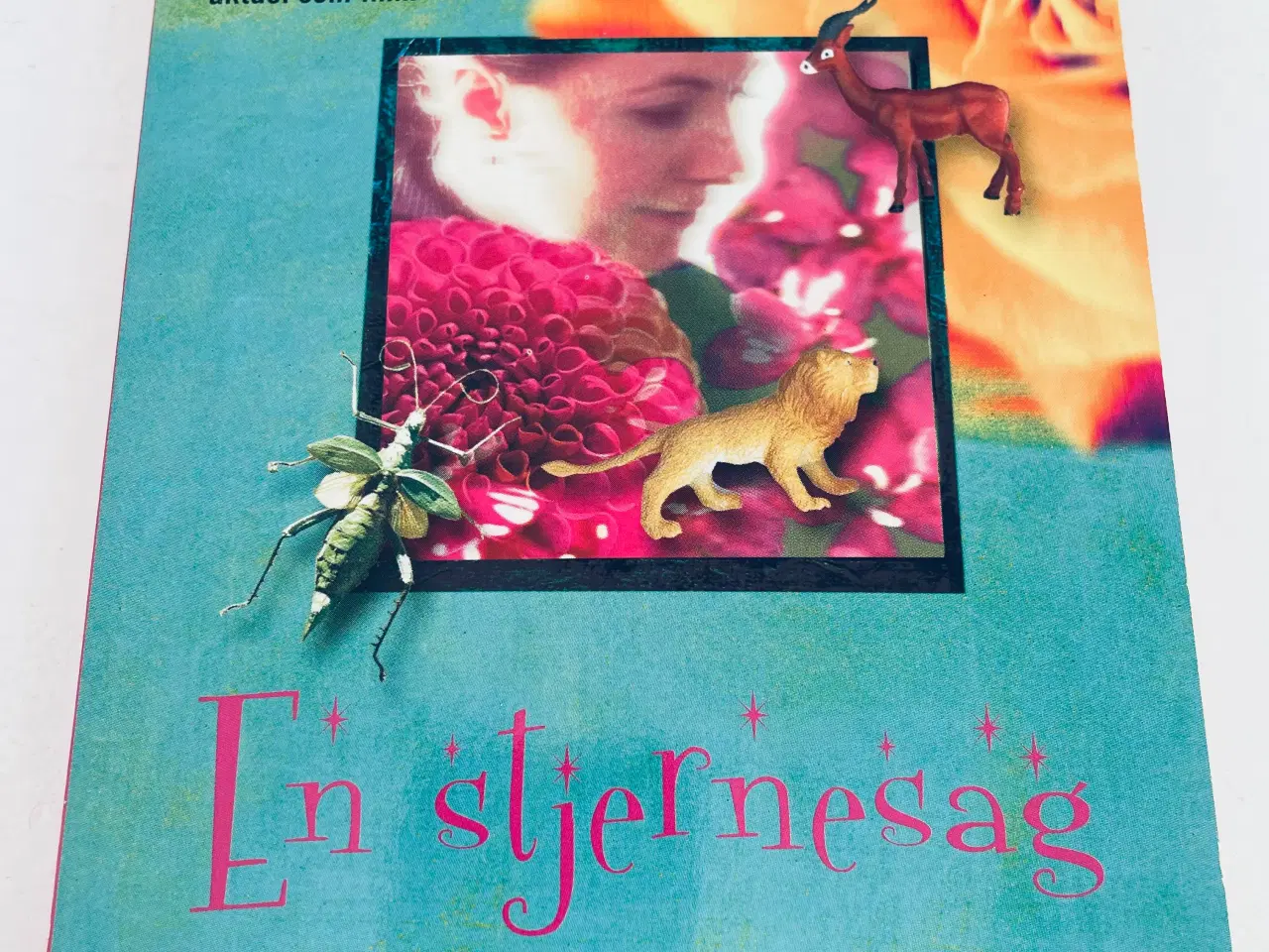 Billede 1 - En stjernesag