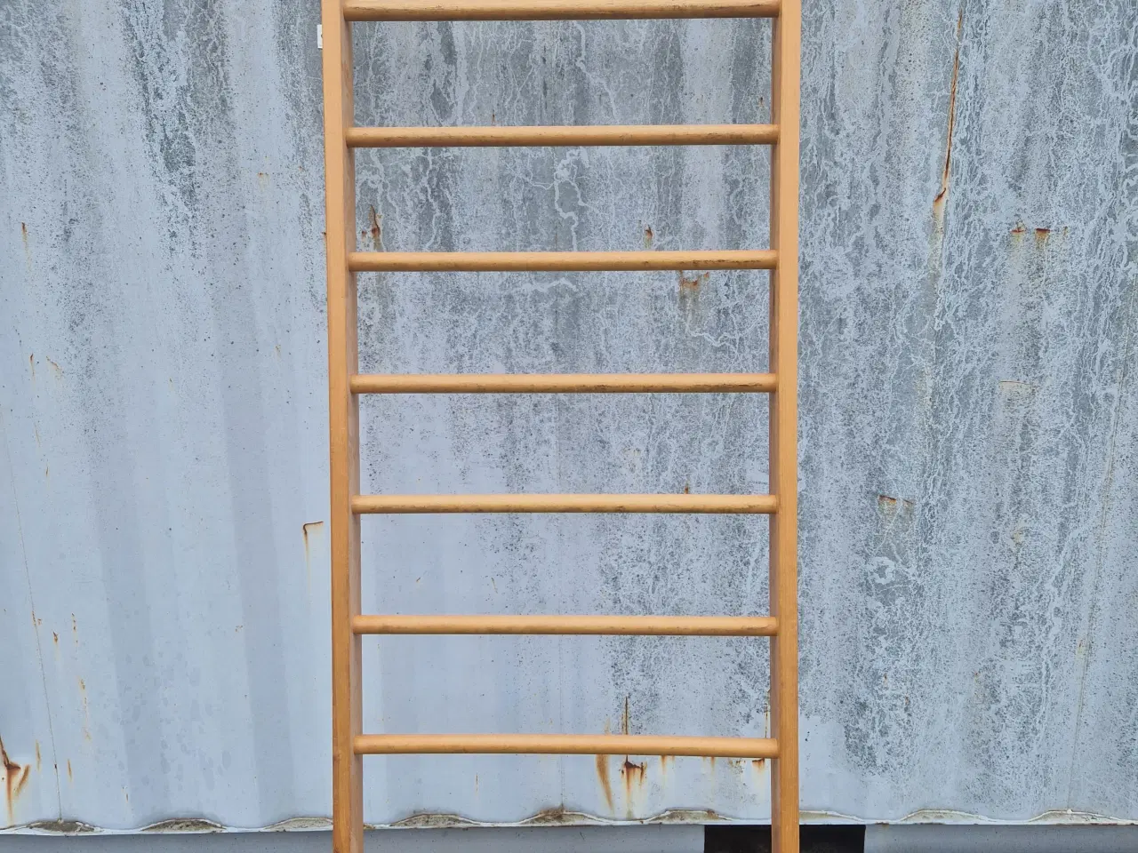 Billede 1 - Motions ribbe