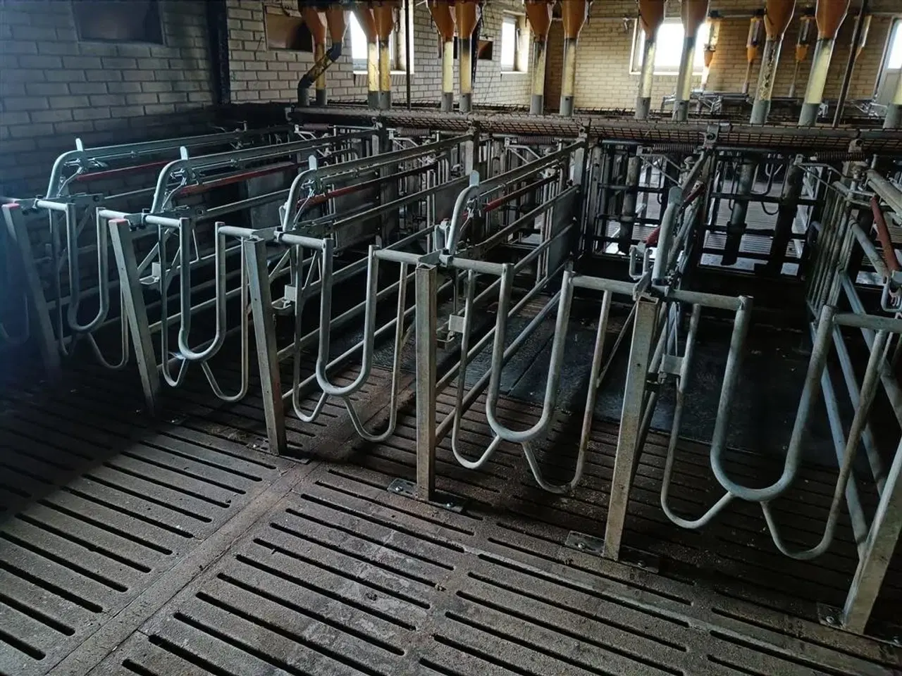 Billede 3 - - - - Egebjerg Æde / hvile boks ca. 400 stk.