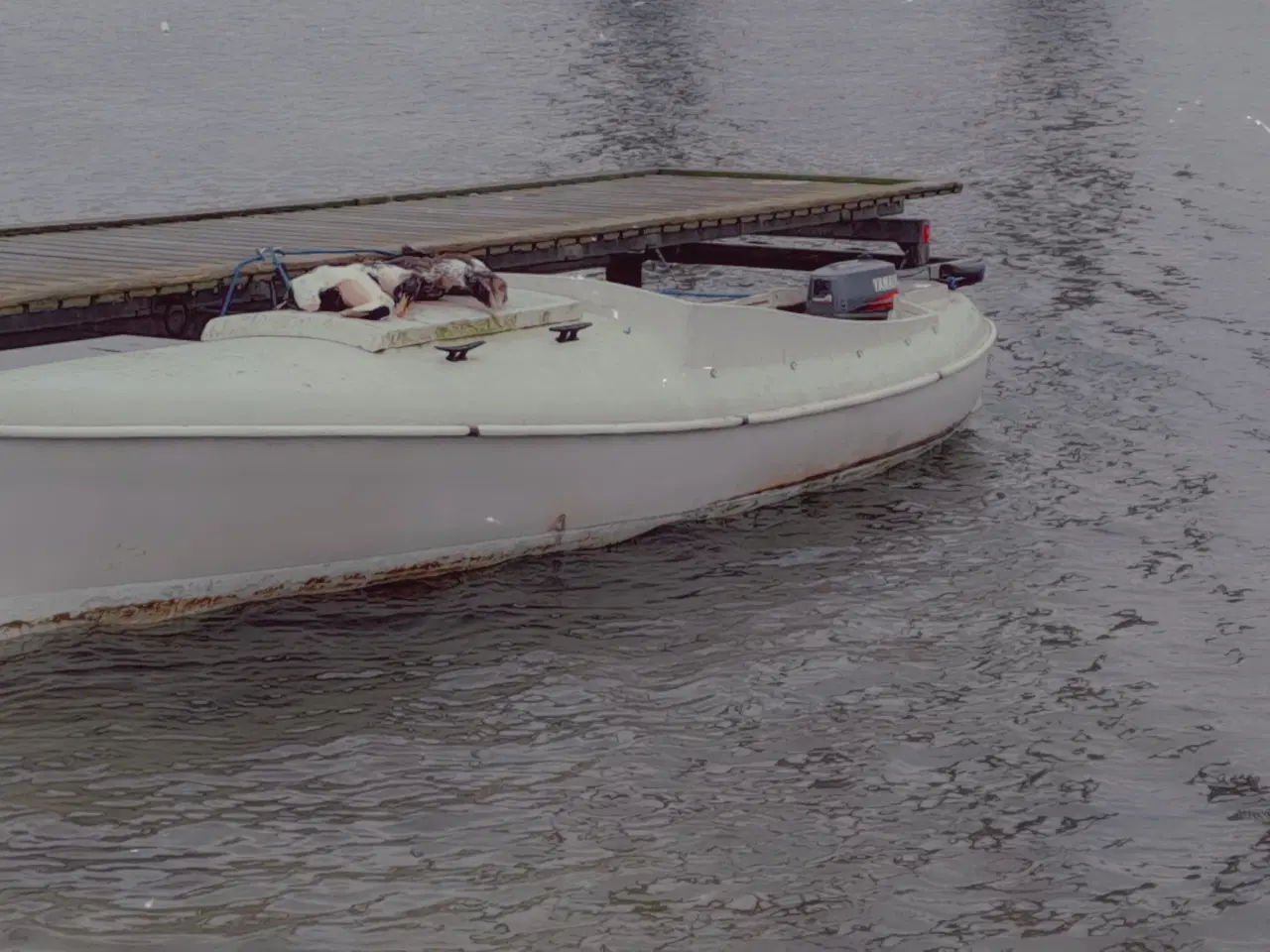 Billede 5 - Andkær jagtbåd 20fod 