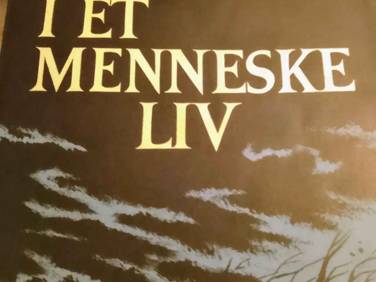 Billede 1 - Aage Falk Hansen: Krisetider i et menneskeliv.