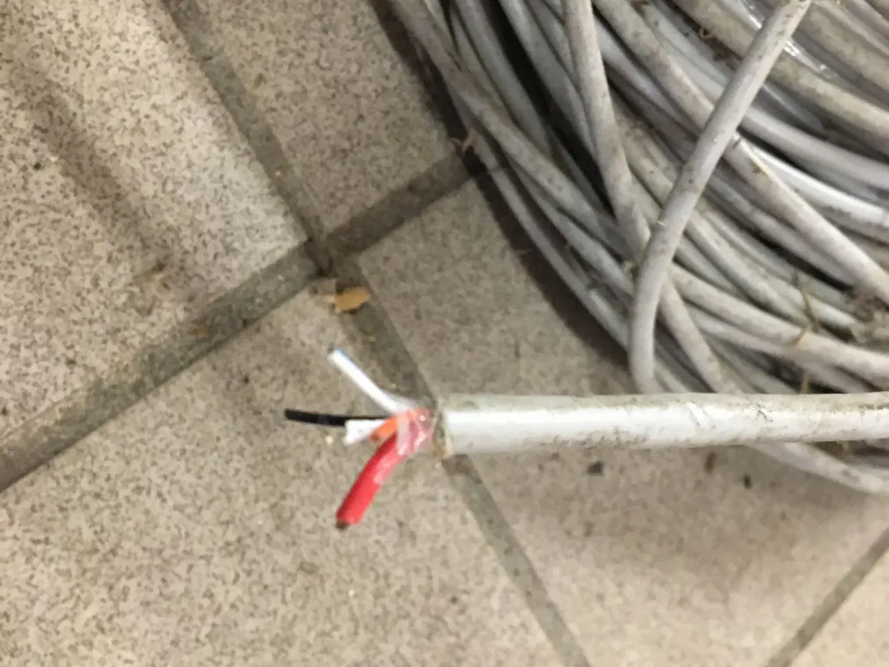 Billede 2 - Canbus kabel