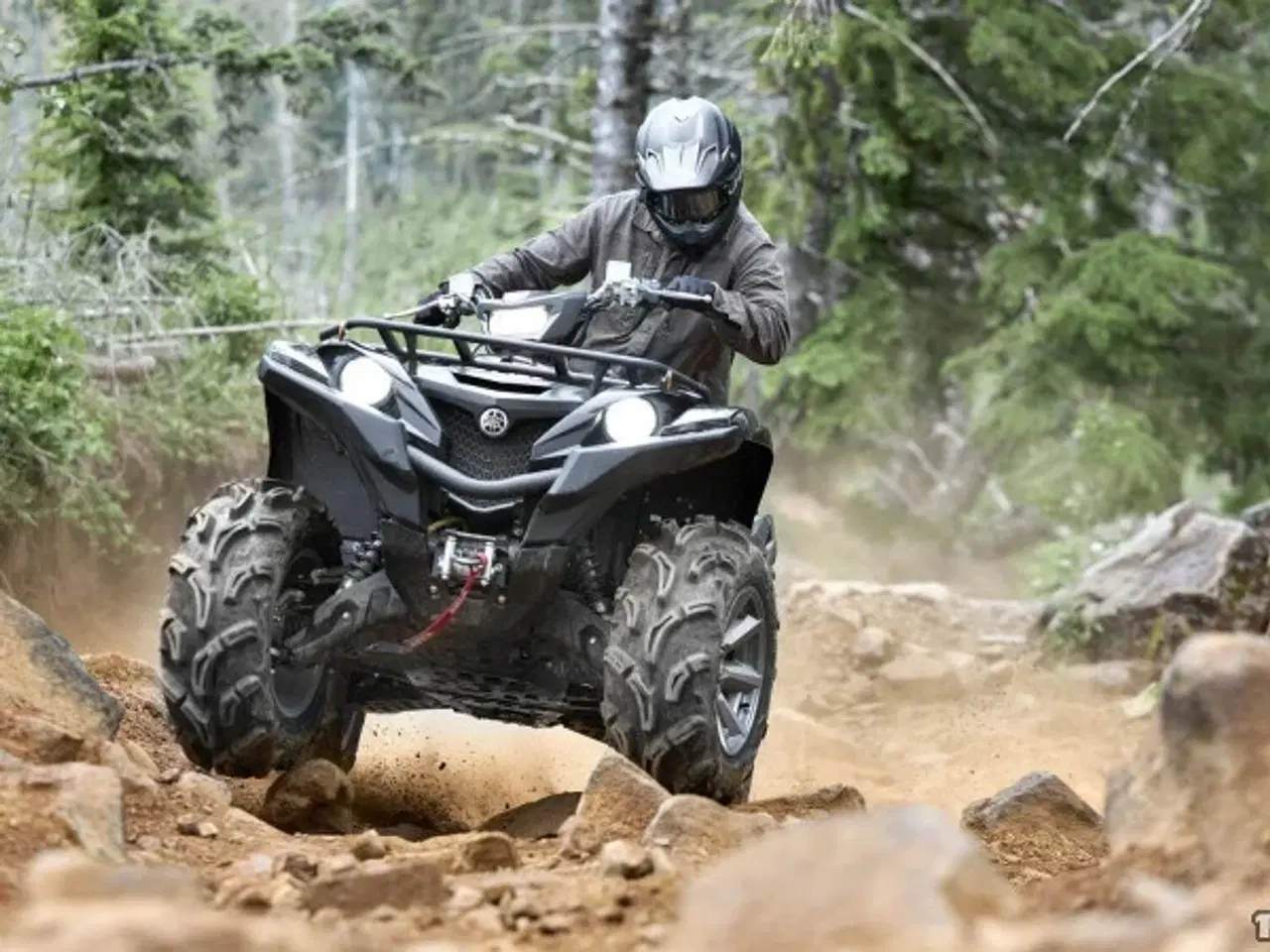 Billede 8 - Yamaha YFM 700 Grizzly EPS SE