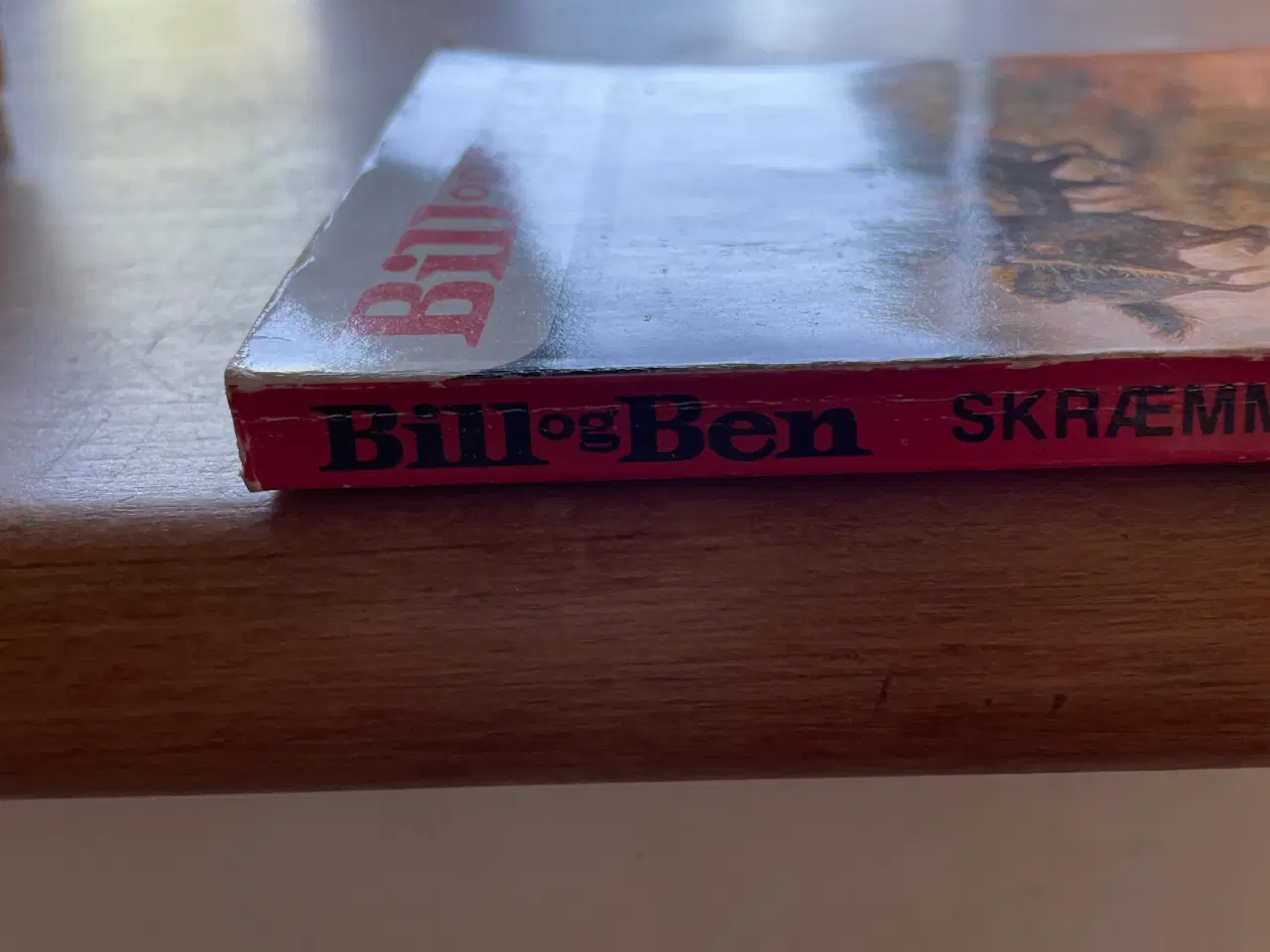 Billede 7 - Bill og Ben