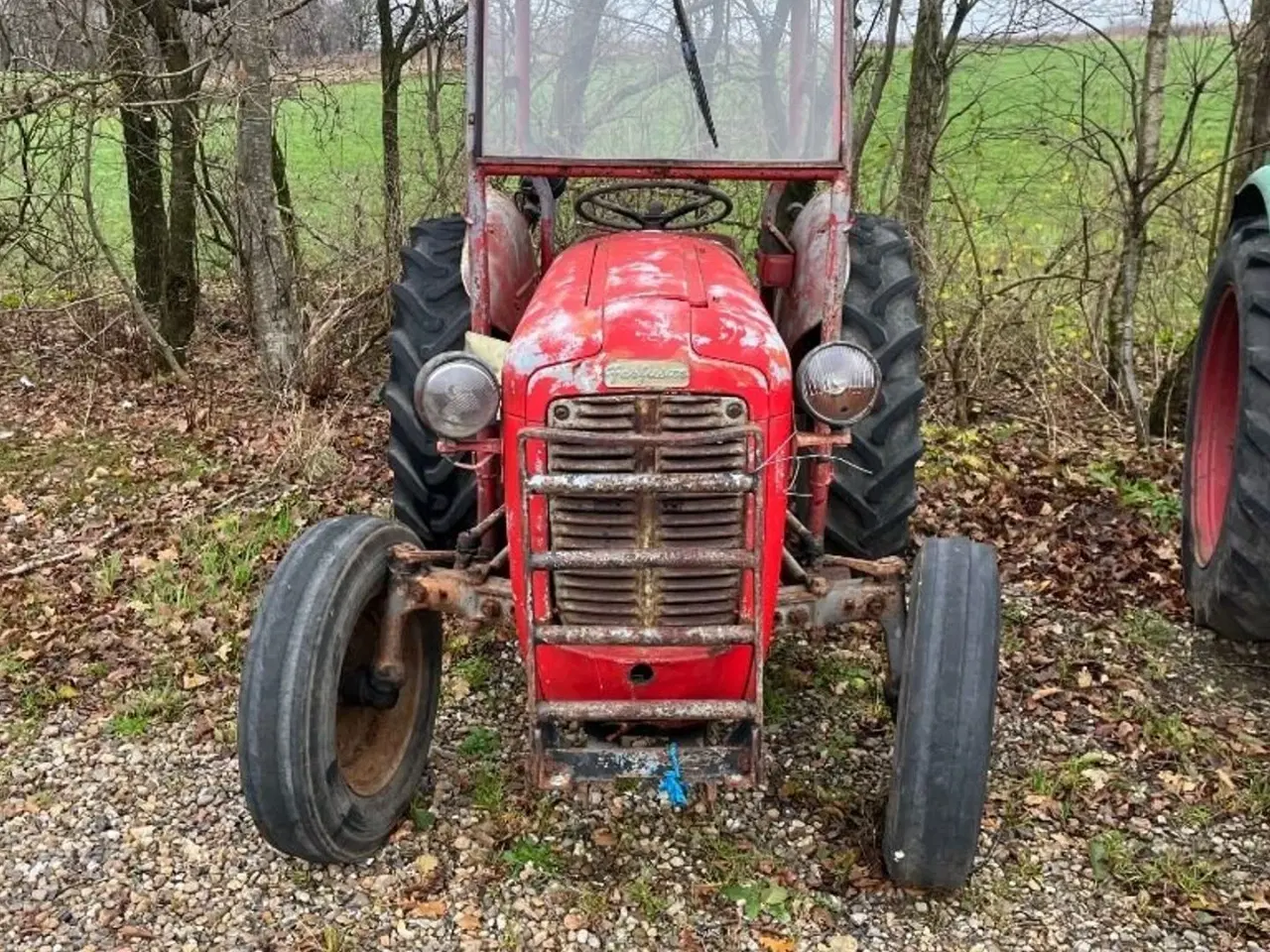 Billede 4 - Massey Ferguson 35 benzin
