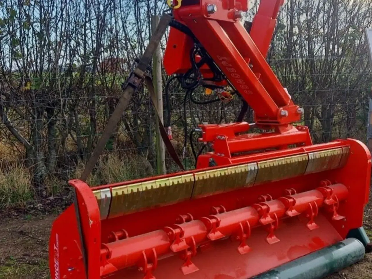 Billede 3 - Concept Perugini DSF260