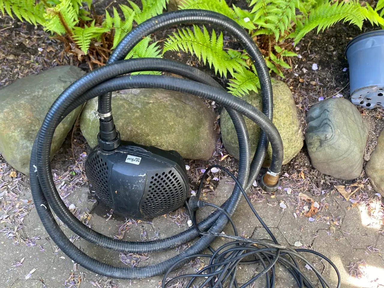 Billede 1 - Havedam pumpe med slange