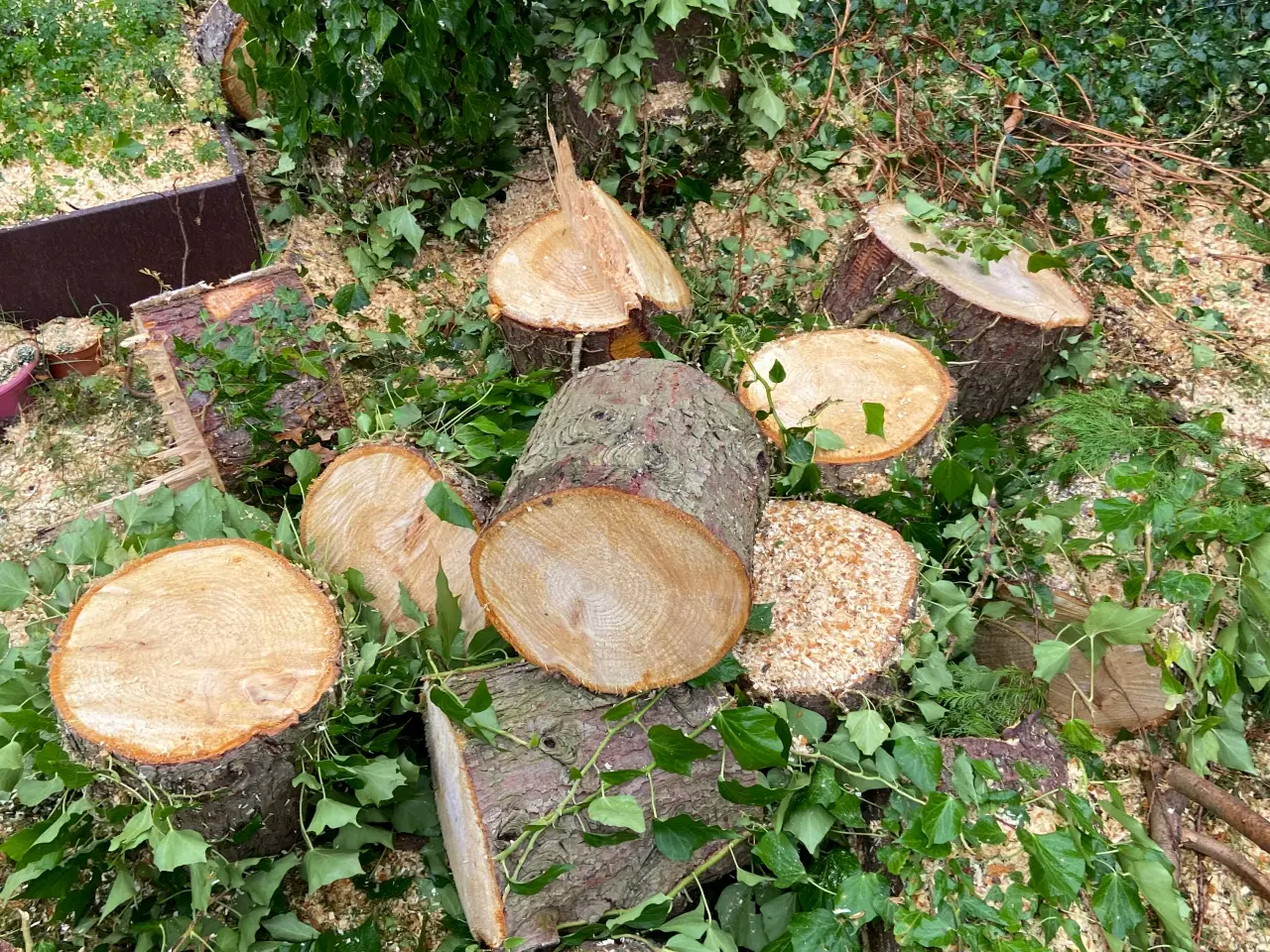 Billede 1 - Brænde til afhentning