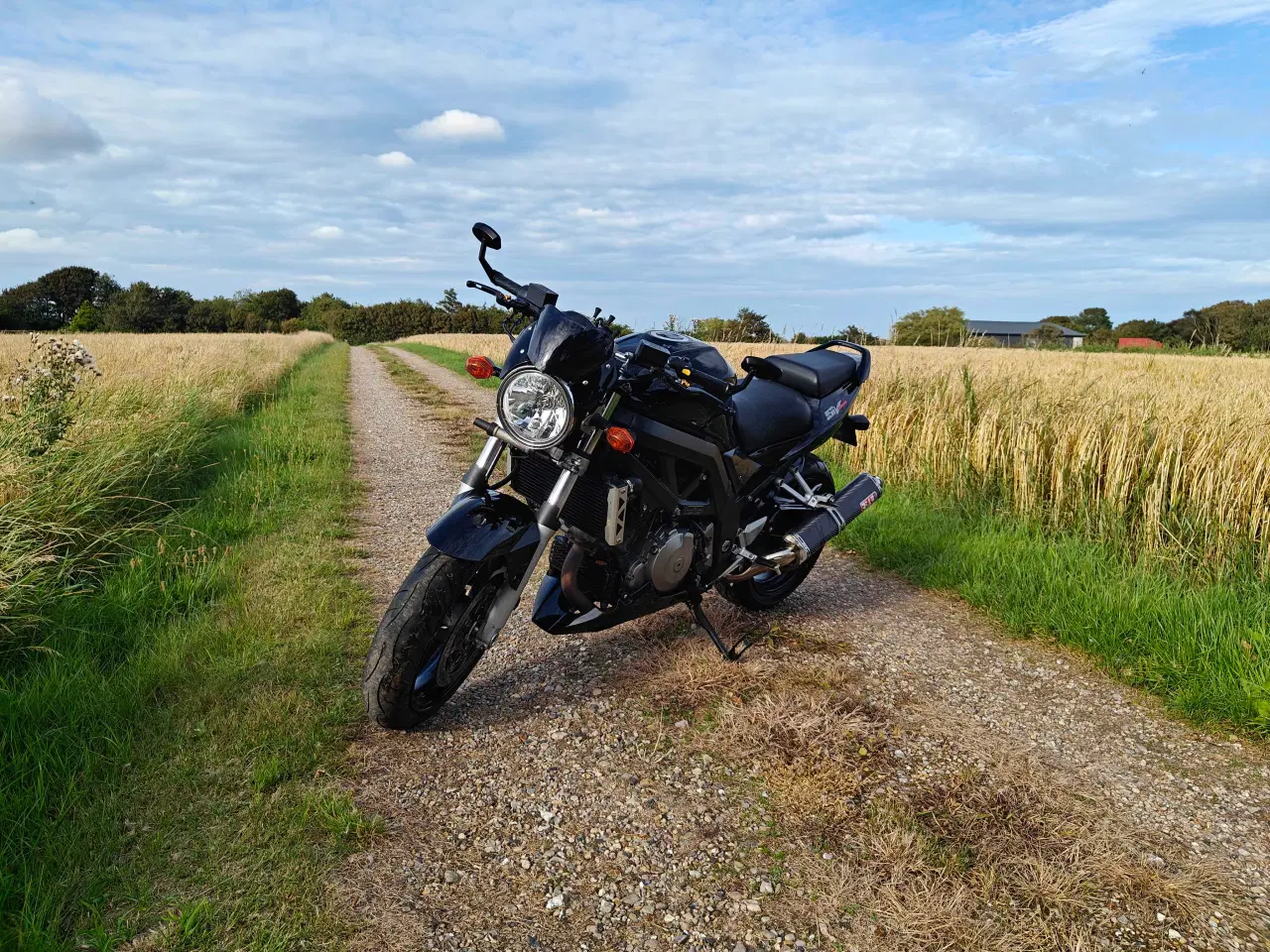 Billede 2 - Suzuki SV1000