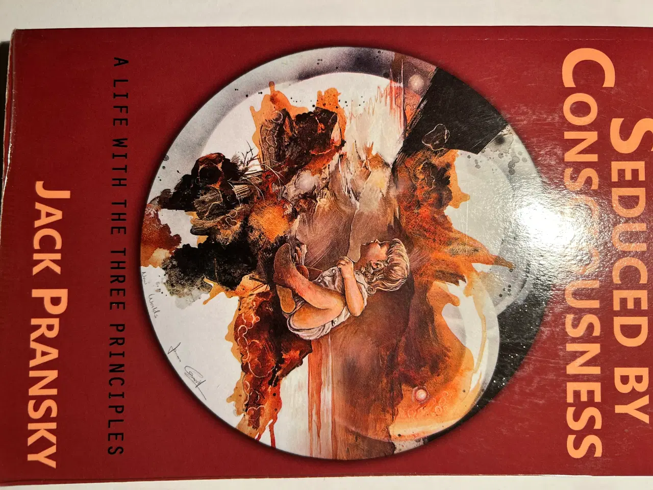 Billede 8 - De tre principper (tanke, bevidsthed, sind)