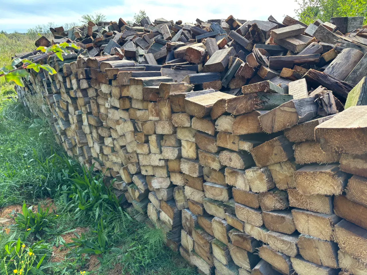 Billede 1 - Brænde