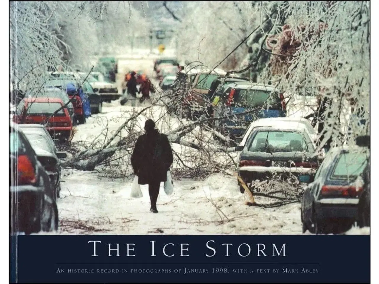 Billede 1 - The Ice Storm