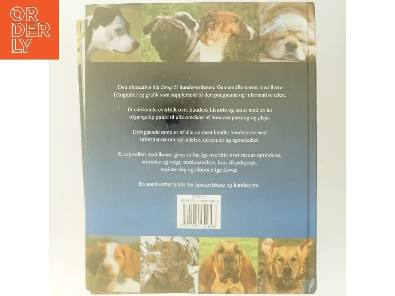 Billede 3 - Alt om hunde af David Alderton (Bog)