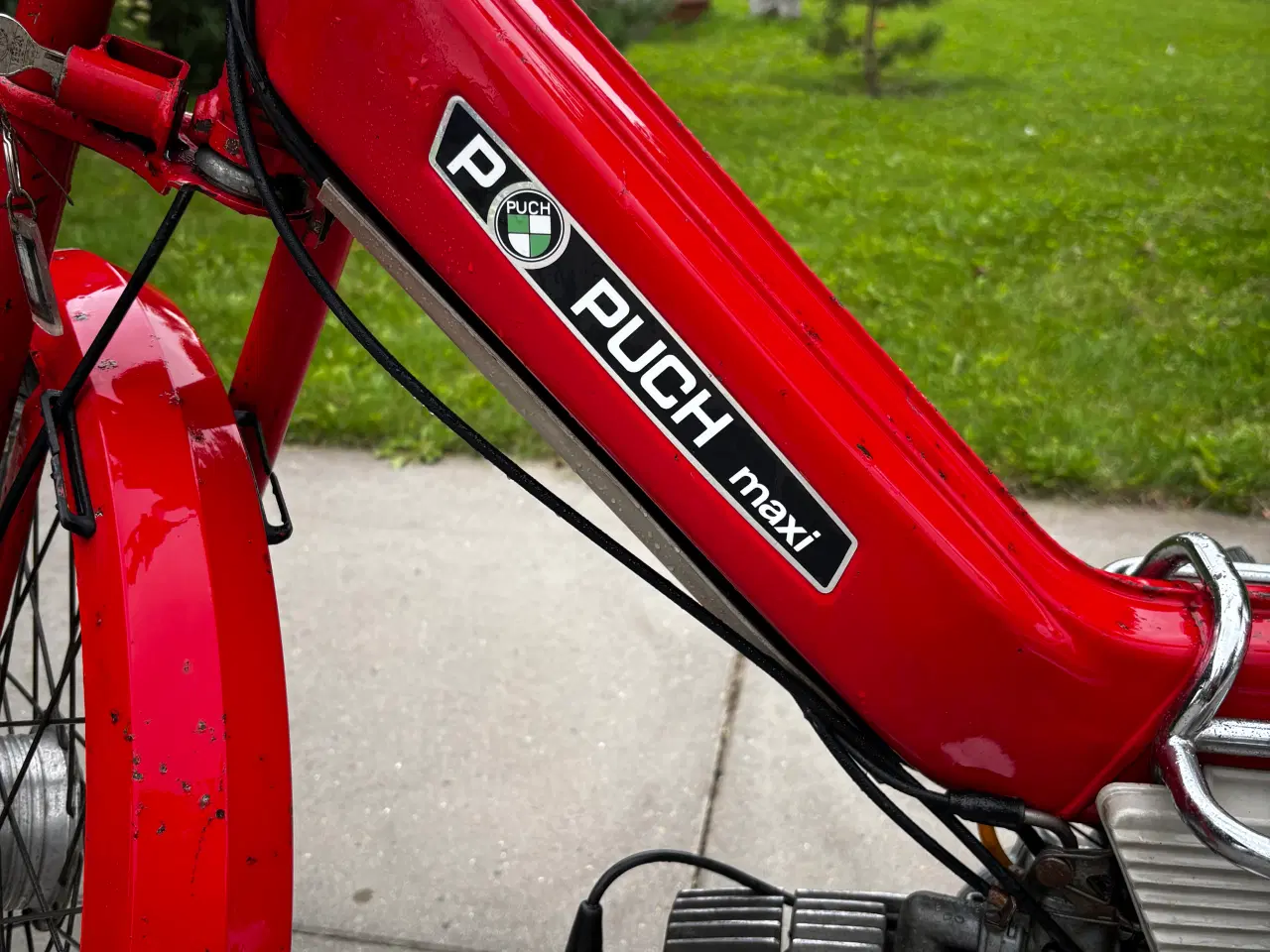 Billede 9 - Puch P med nr macht helt org.
