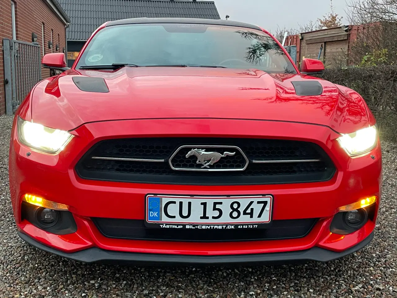 Billede 2 - Ford Mustang GT efterårs pris