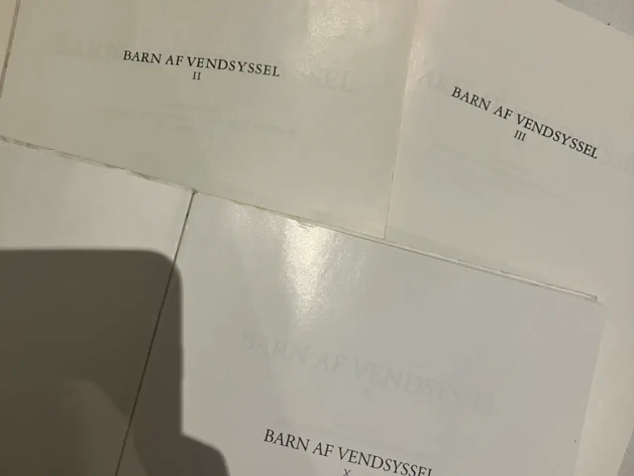 Billede 2 - Barn af Vendsyssel 