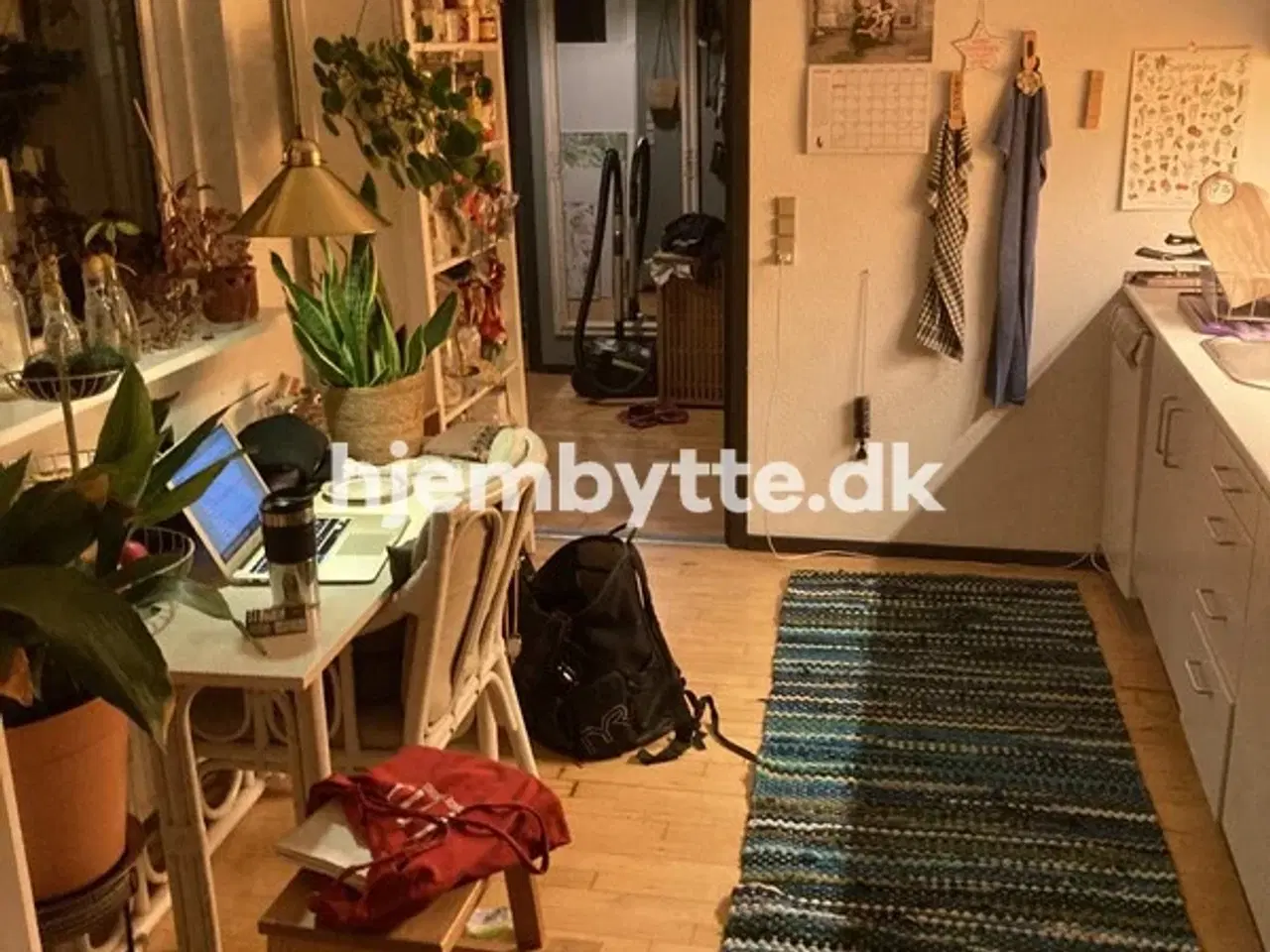 Billede 5 - Hjembytte - Ahornvænget