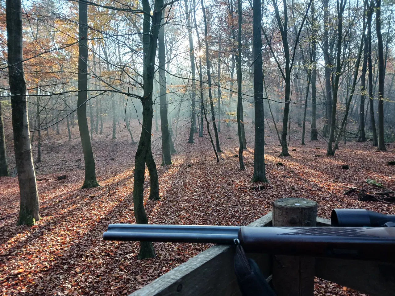 Billede 1 - Blaser BB97