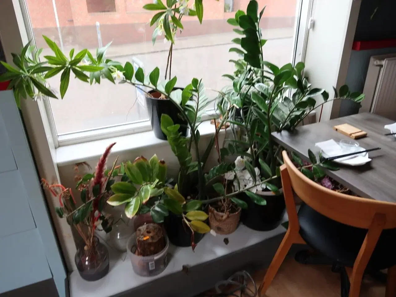 Billede 1 - Div. Krukker med planter