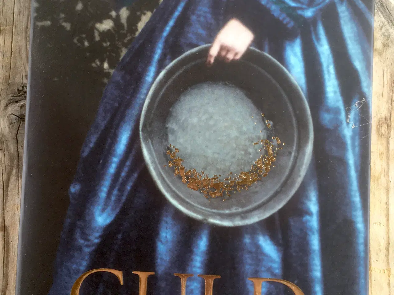 Billede 1 - Guld, Rose Tremain, genre: drama