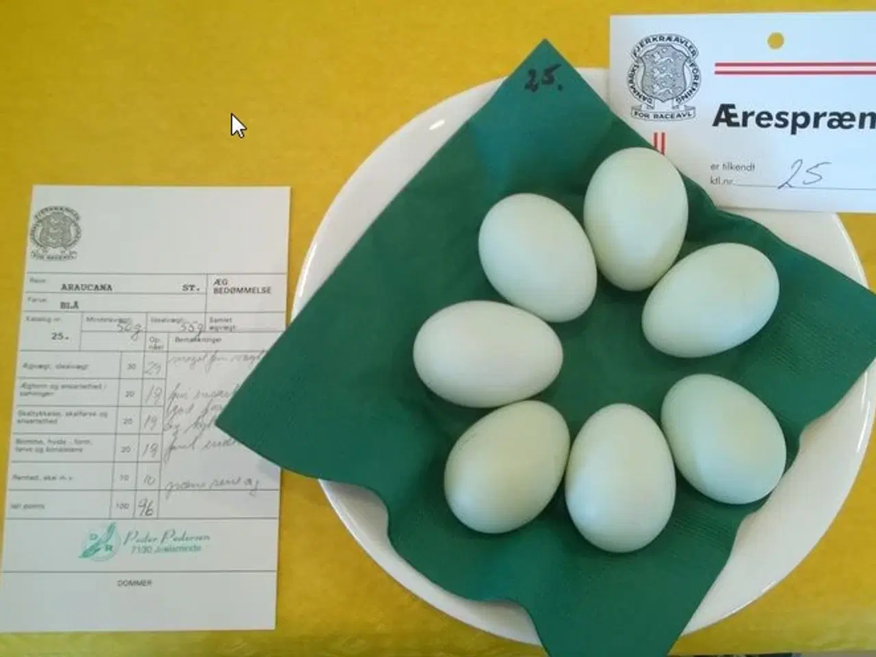 Billede 6 - Blå Araucana rugeæg