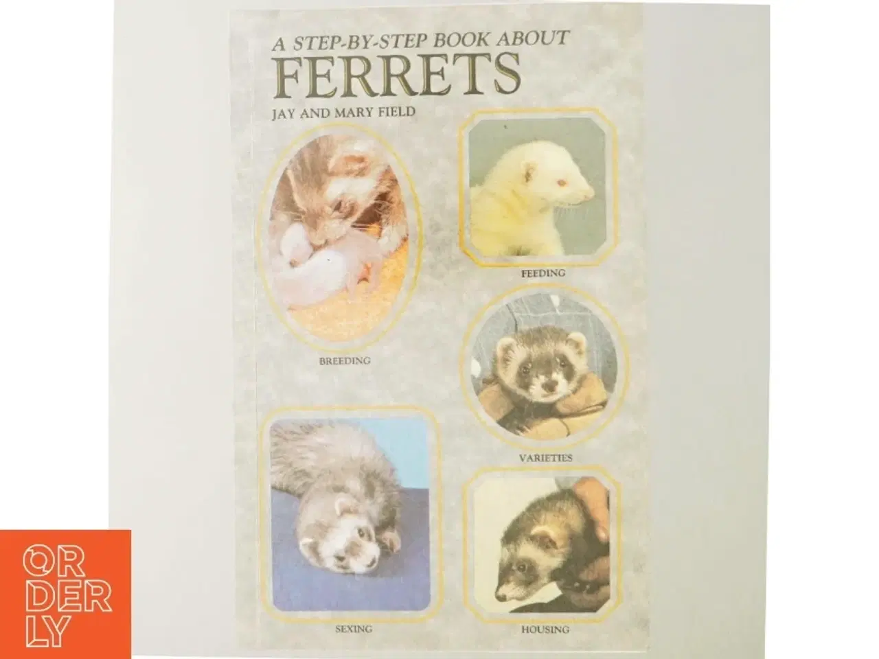 Billede 6 - A step-by-step book about ferrets (Bog)