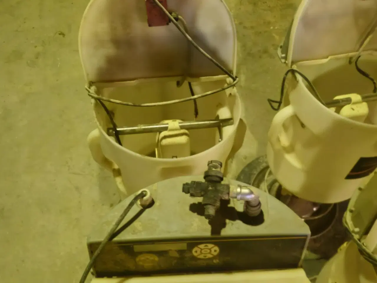 Billede 15 - DLG First Feeder