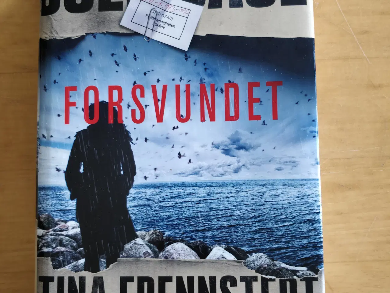 Billede 1 - Cold Case: Forsvundet, Tina Frennstedt 