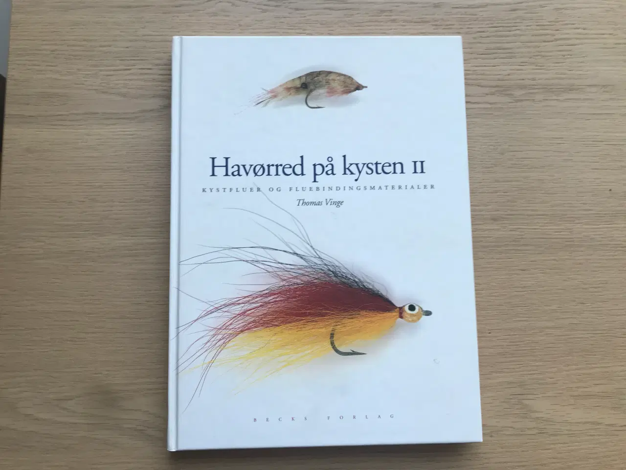 Billede 1 - Havørred på kysten II  -  Thomas Vinge