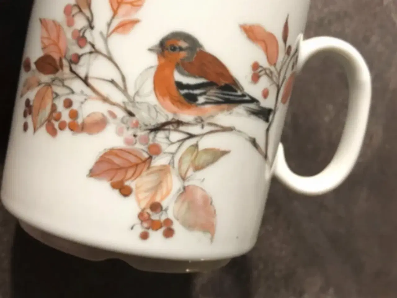 Billede 1 - Bogfinke  årskrus ‘95