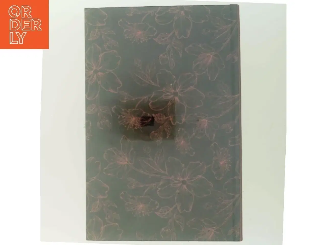 Billede 3 - Bjergsted drømme, Bog