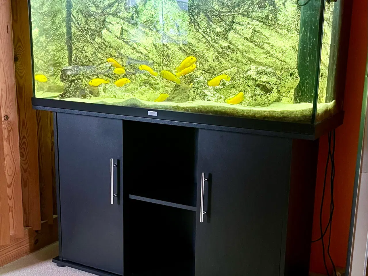 Billede 1 - Akvarie 230 liter inkl. alt