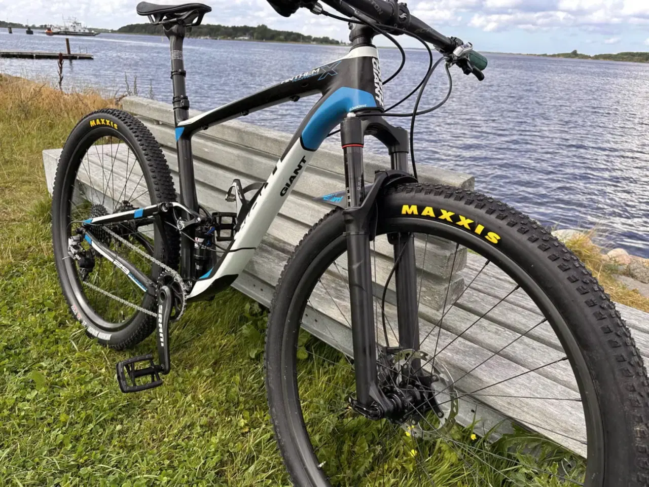 Billede 3 - Giant Anthem X Advanced 29" Str. Large