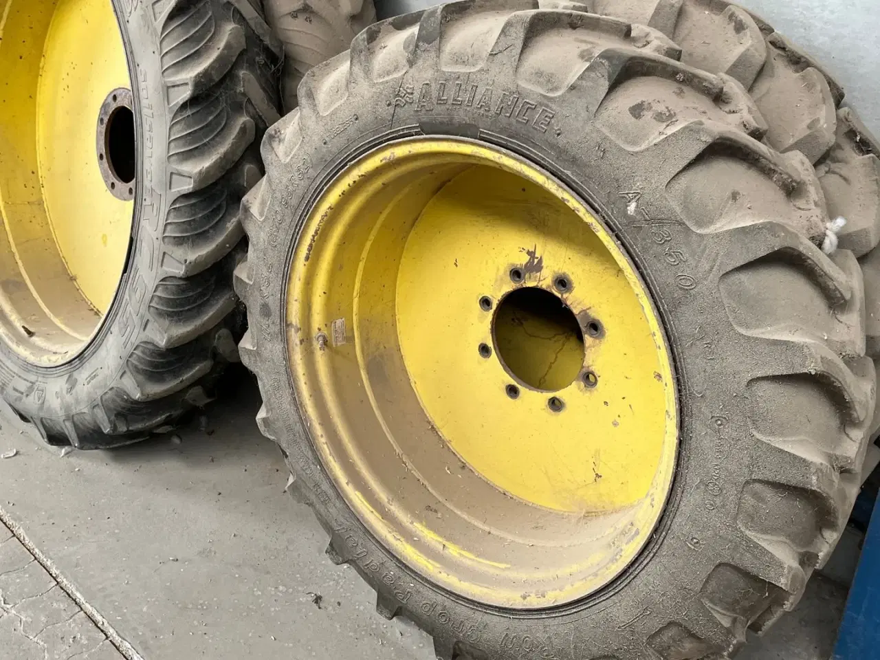 Billede 3 - Taurus Soilsaver Fuldsvejst