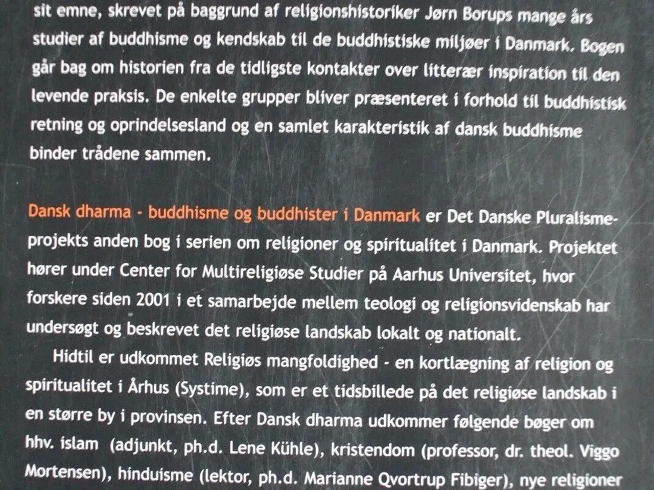 Billede 3 - dansk dharma - buddhisme og buddhister i danmark, 