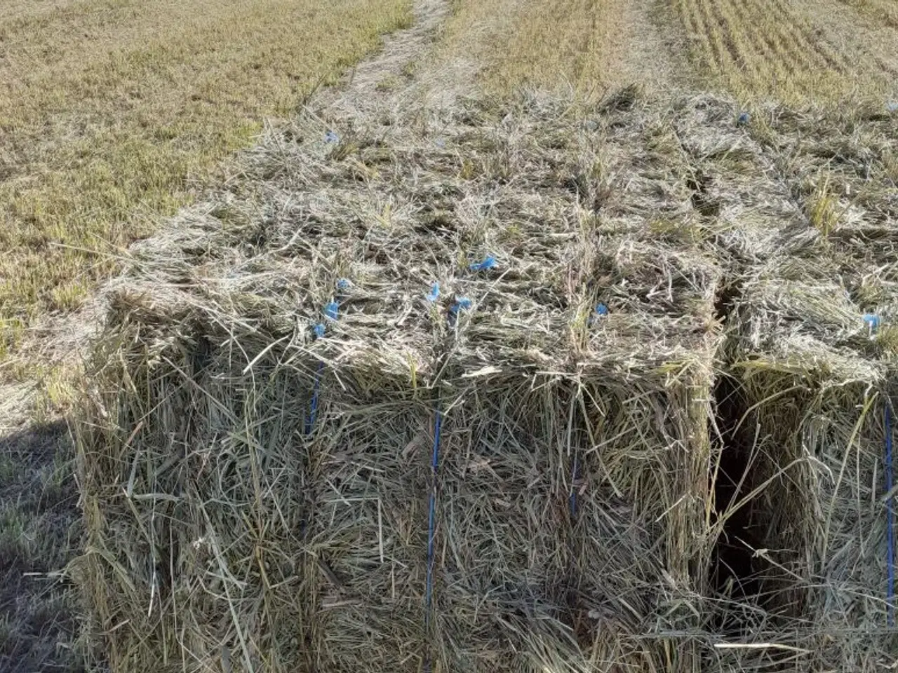 Billede 6 - Lækkert wrap hø 2. slet 2025 m/analyse lavt sukker