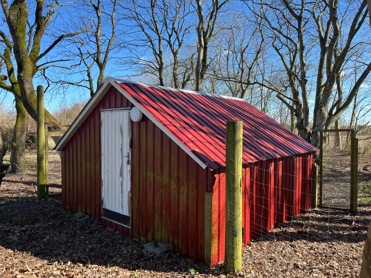 Billede 3 - Hønsehus