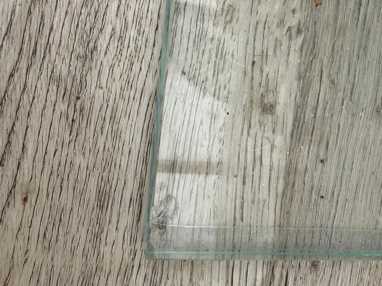 Billede 8 - Glas sofabord med spiral snoet ben