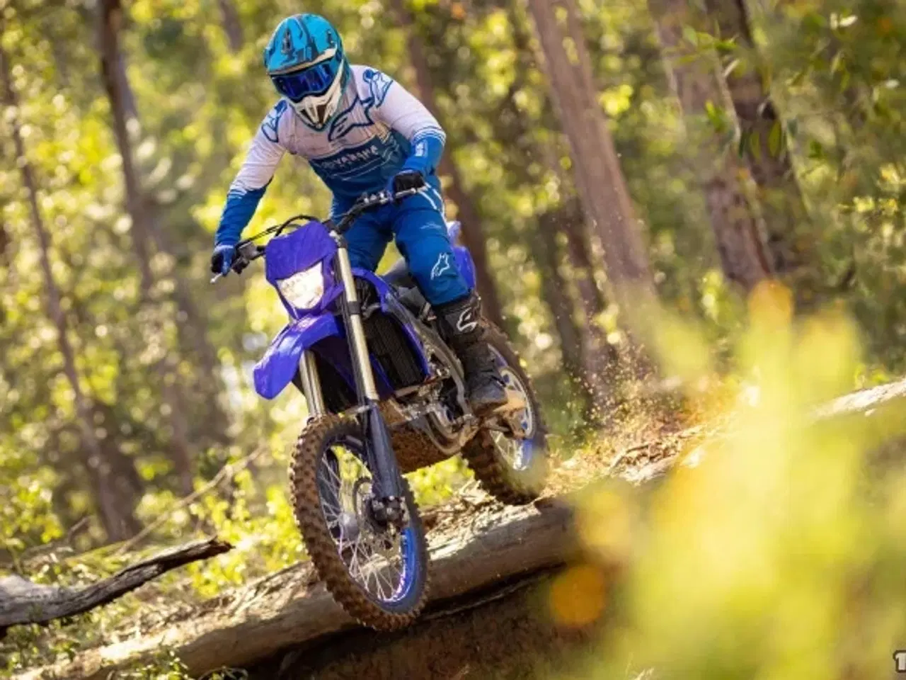 Billede 2 - Yamaha WR 250 F