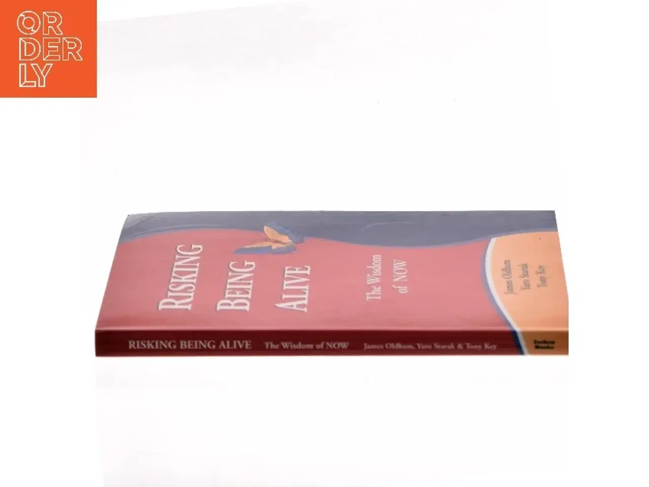 Billede 2 - Risking Being Alive (Bog)